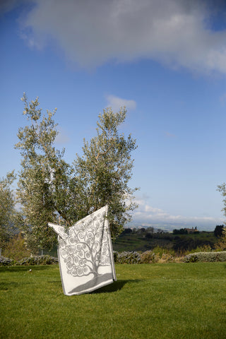 Un plaid Cecchi e Cecchi appeso ad un albero di olivo in una bella giornata di inizio primavera